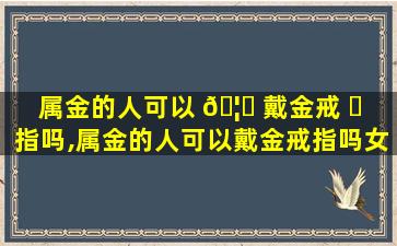 属金的人可以 🦉 戴金戒 ☘ 指吗,属金的人可以戴金戒指吗女生